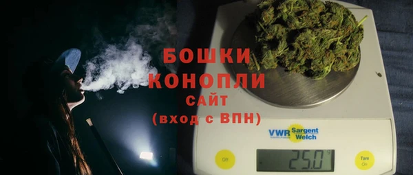 бошки Горнозаводск