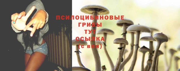 бошки Горнозаводск