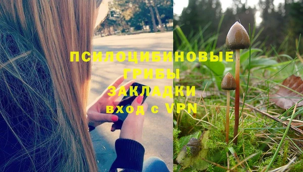 гидропоника Вязники