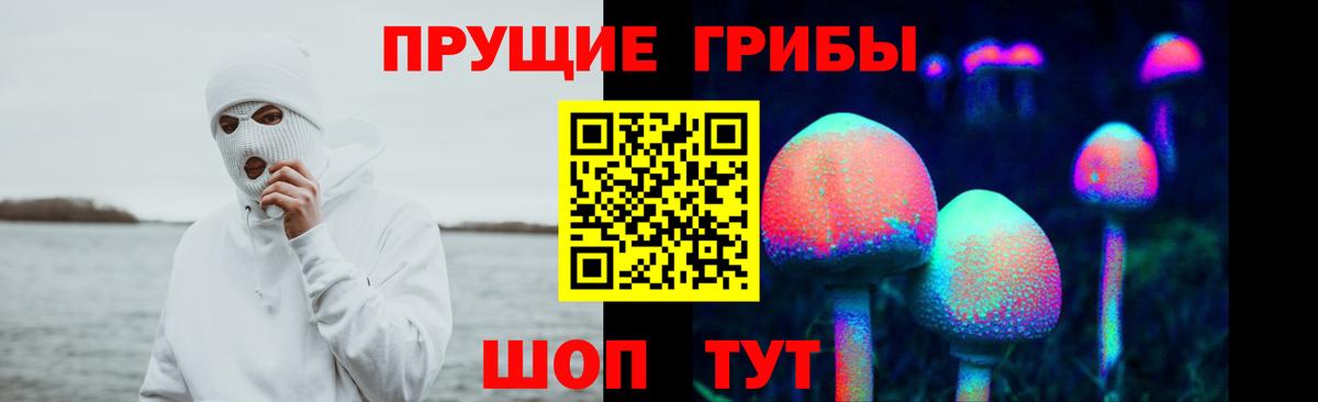 Назарово  Псилоцибиновые грибы Psilocybe  Вход с VPN 